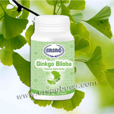 Gingko Biloba