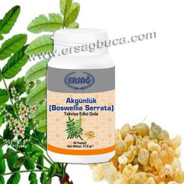 Akgünlük (Boswellia Serrata)
