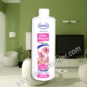 Genel Temizlik