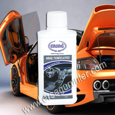 Araç Temizleyici