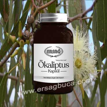 ÖKALİPTUS KAPSÜL